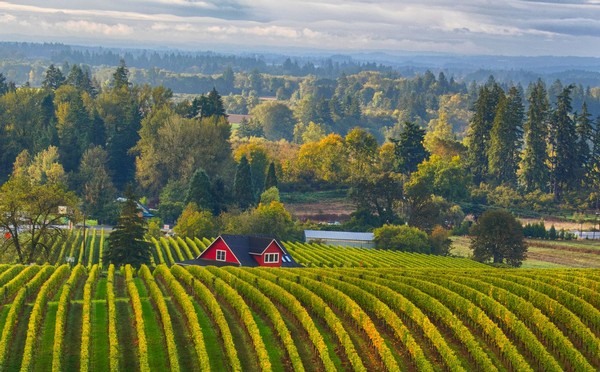 This Under-the-Radar Region in Oregon Is Changing the Wine Game